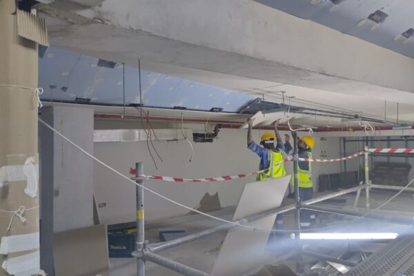 museum-gypsum-works-04 (4)
